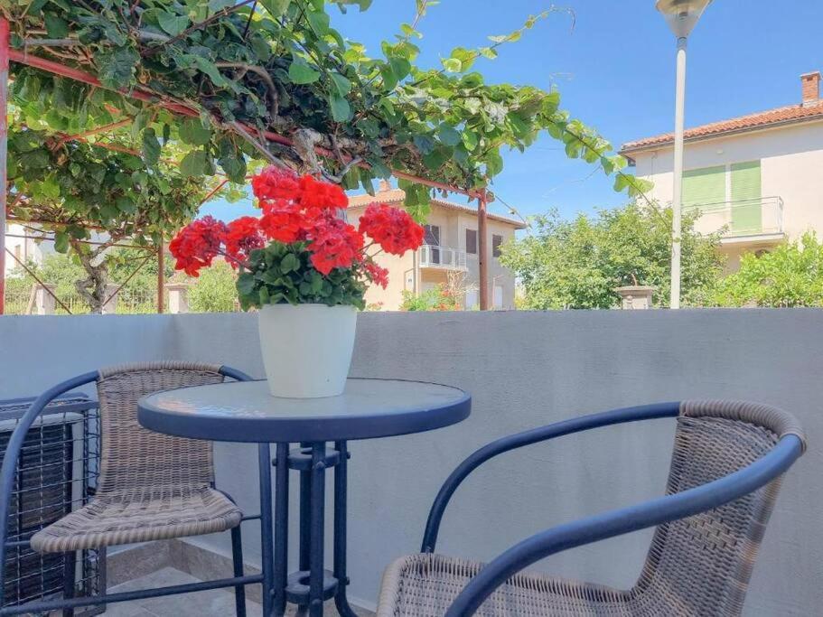 Apartmán App Racy Umag Exteriér fotografie